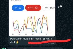 Setting Iklan Google Ads untuk Sedot WC & Optimasi-nya