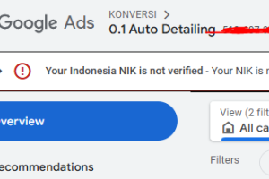 Masalah NIK Not Verified Google Ads, Bagaimana Solusinya?