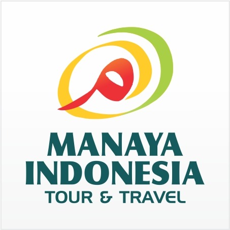 Logo Icon